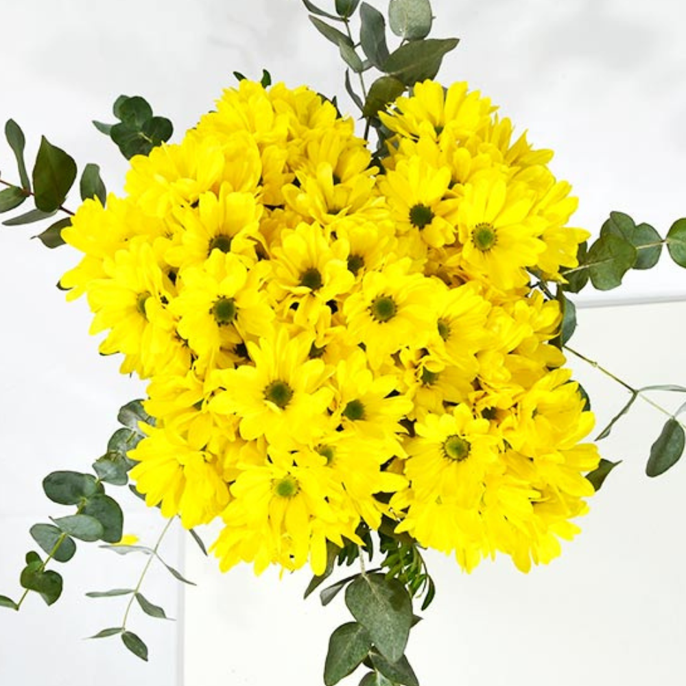 Ramo de margaritas amarillas