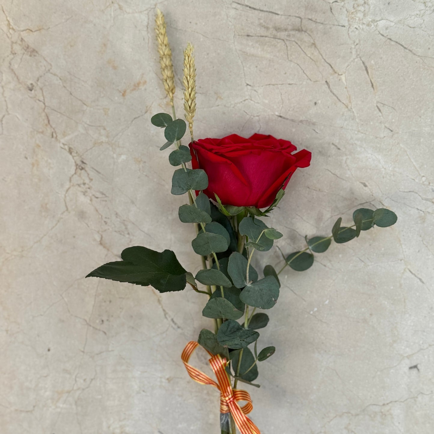 Rosa de Sant Jordi
