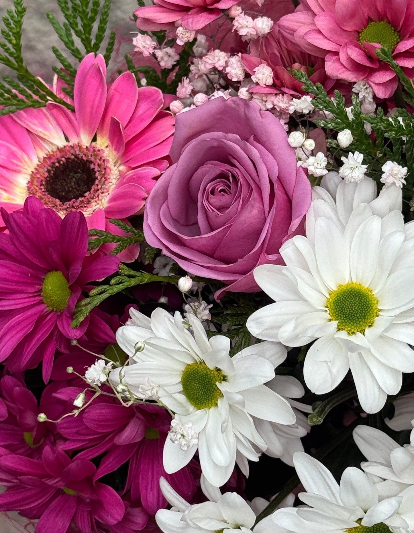 Ramo Primavera