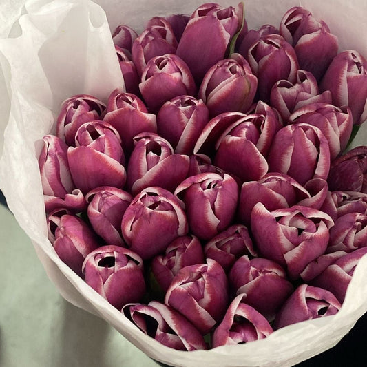 Ramo de 20 tulipanes