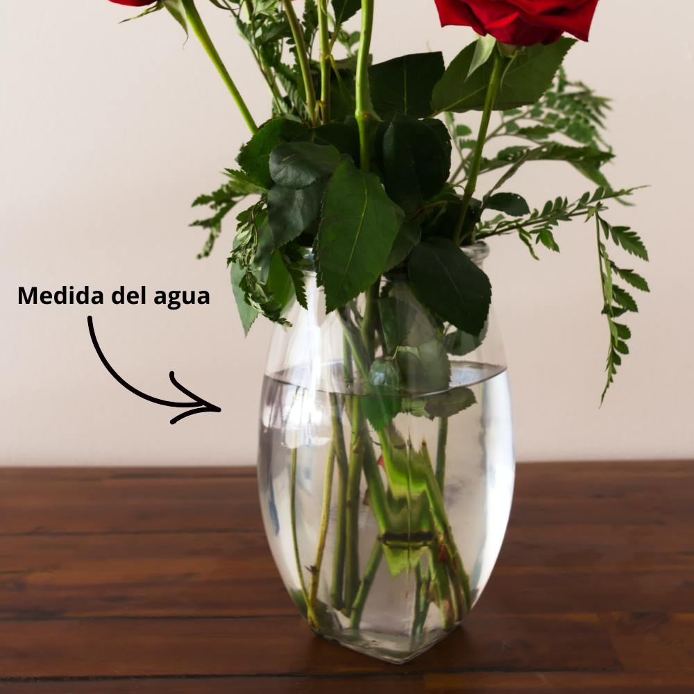Ramo de 12 rosas blancas con vino tinto y chocolate Caja Roja